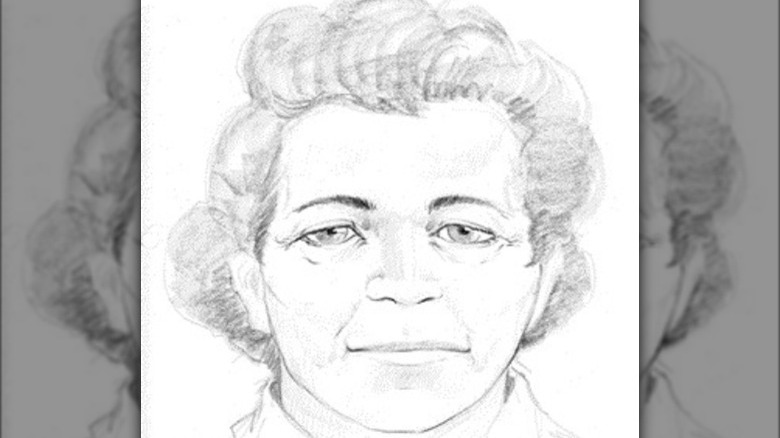 sketch of Mojave Jane Doe