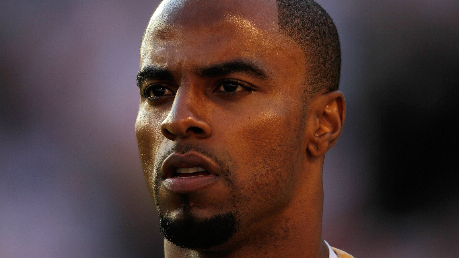 Ex-NFL star Darren Sharper gets 20 years in prison as LA rape victims speak  out, National Sports