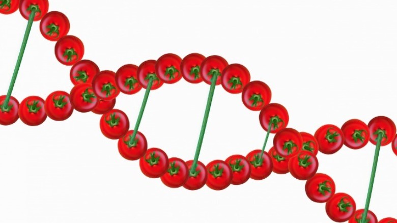 strand of DNA