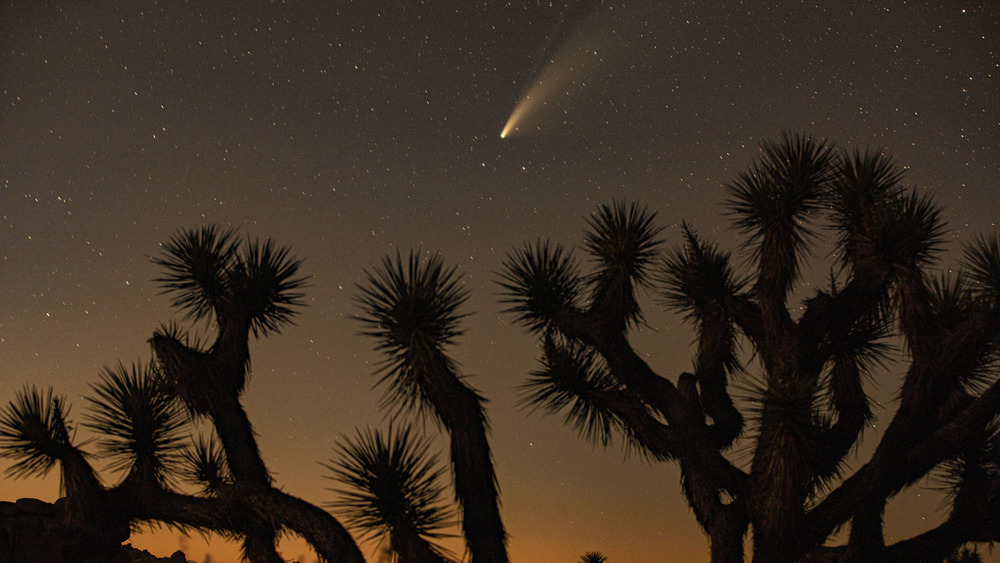 A comet in the sky