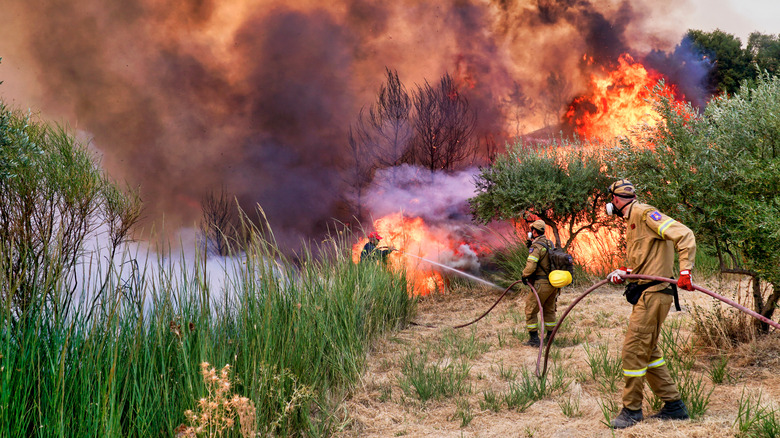 Firefighters spraying a wildfire with water