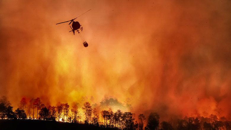 Helicopter dumping water on a wildfire