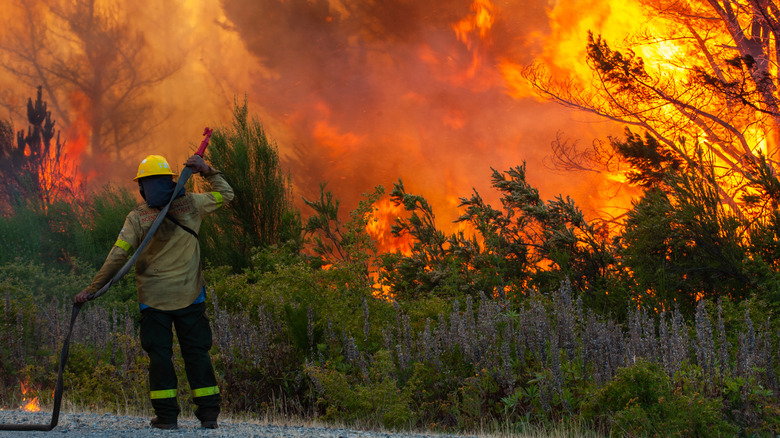 Wildfire in Argentina