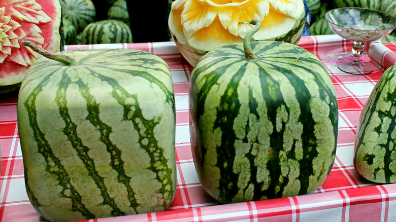 Two cube-shaped watermelons 