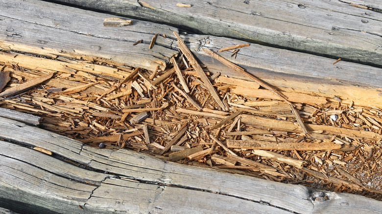 Splintered wooden dock