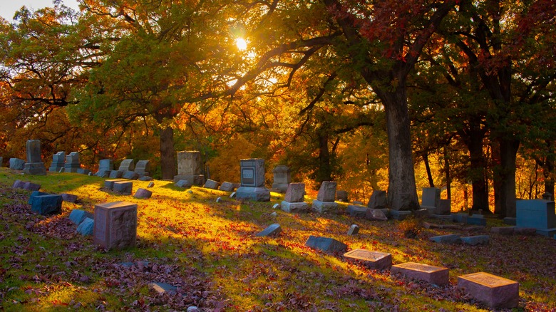 cemetery in the fall