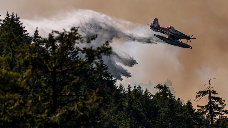 Planes dropping water on forest fires