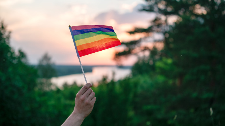 Hand holding rainbow flag