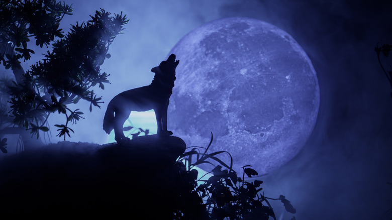 A wolf and a moon