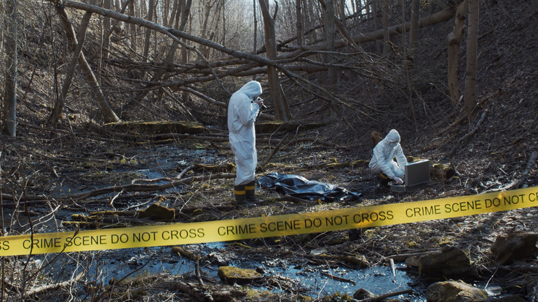 Crime scene in a forest