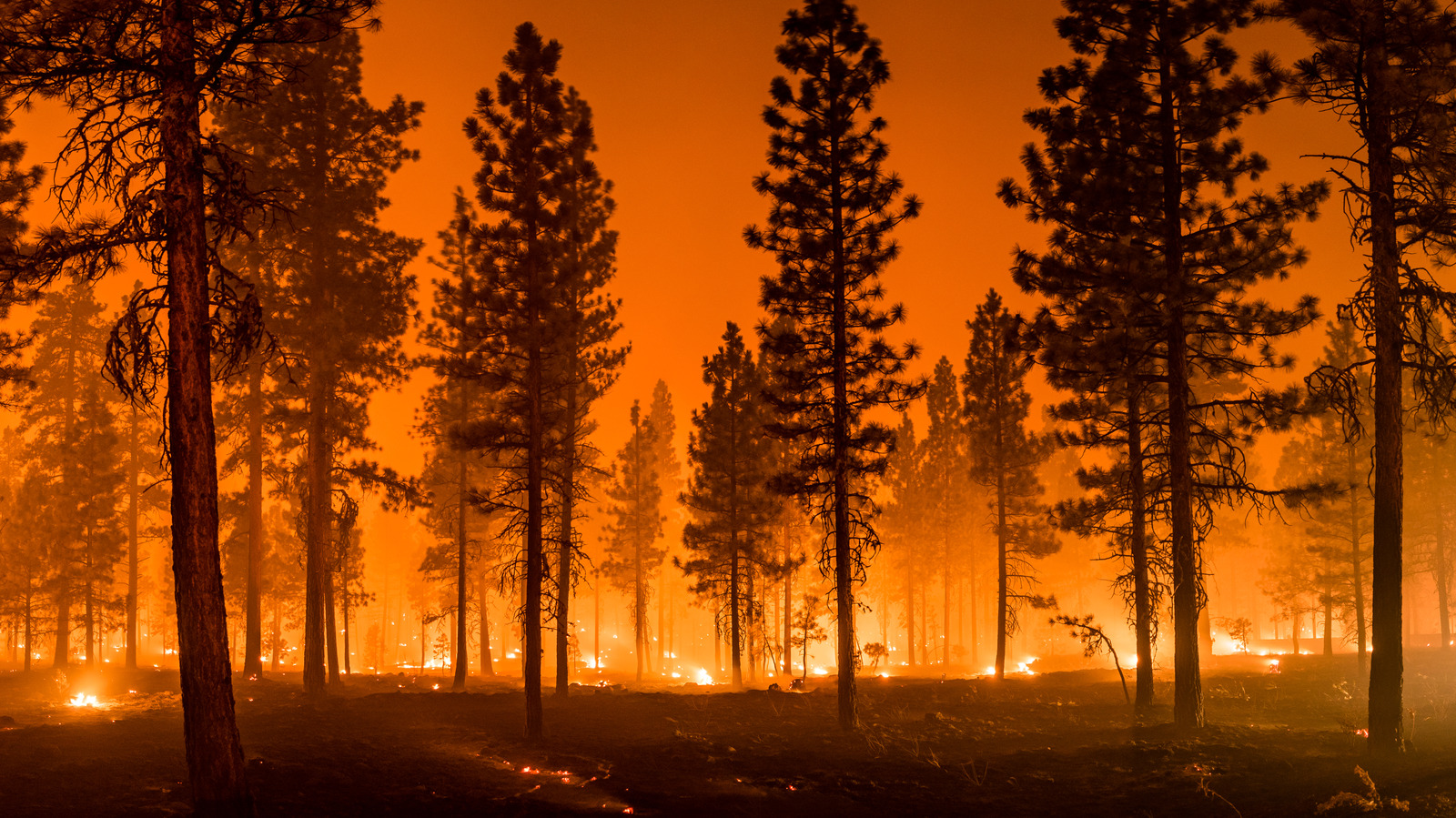 How Long Can Wildfires Burn?
