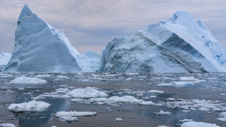 Icebergs floating in the ocean