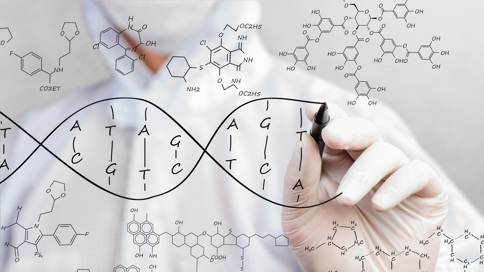 how-long-does-it-take-for-dna-to-break-apart