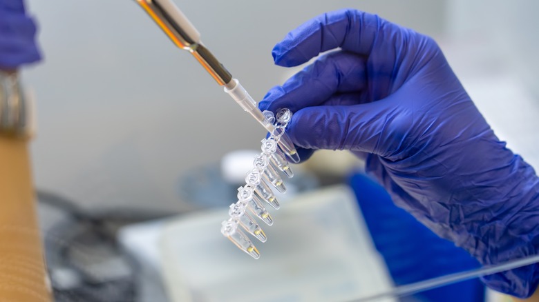 scientist hand testing dna