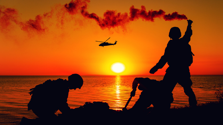 Navy Seals at sunset