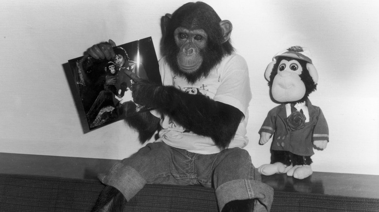 Bubbles the chimp