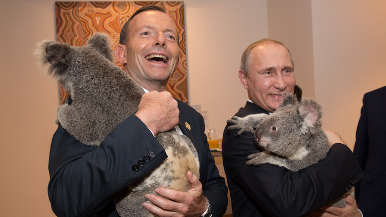 vladimir Putin with koala