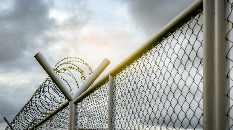 Razor wire fence around a prison