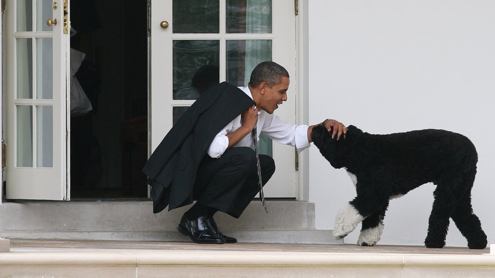 Obama and Bo