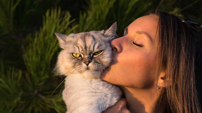 Person kissing a cat