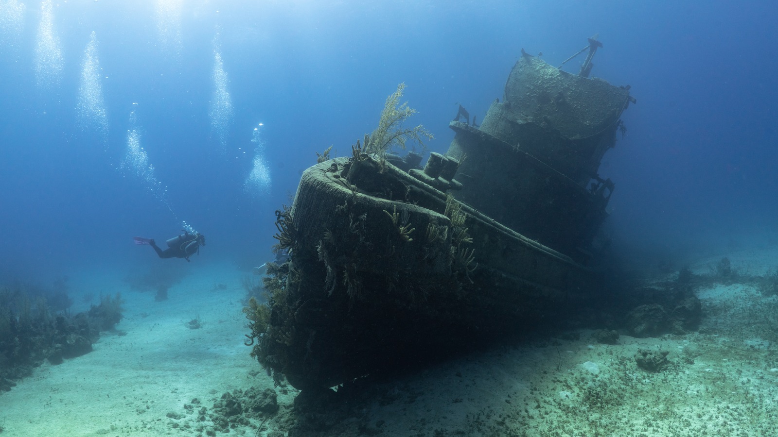 How Priceless Artifacts From A 350-Year-Old Spanish Shipwreck Might ...