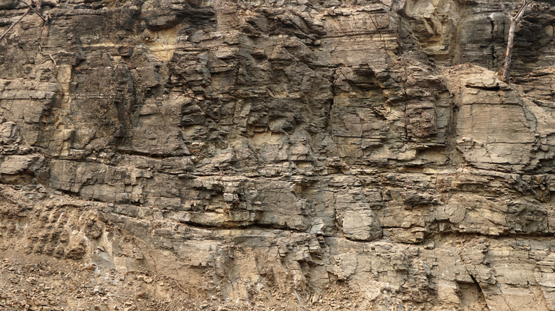 Layers of rock 