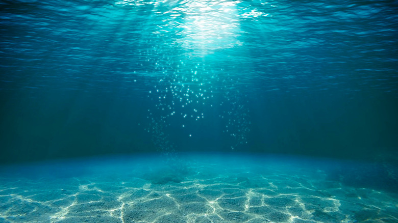 Underwater view of sunbeams.