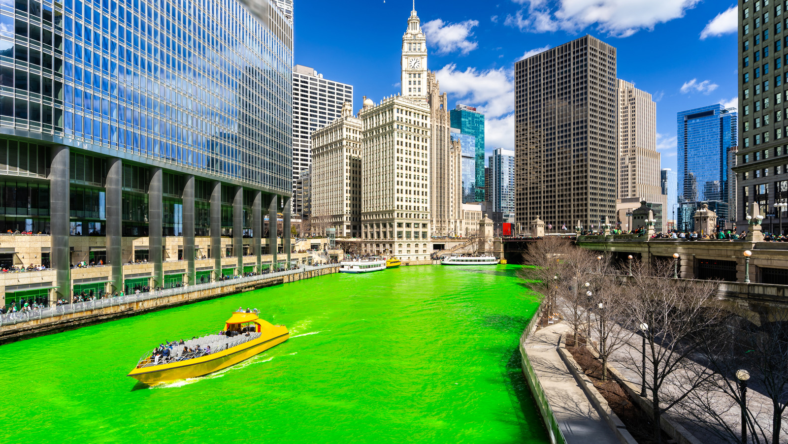 How The Annual Dyeing Of The Chicago River Became A St Patricks Day Tradition 0559