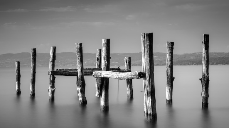 Black and White Lake Bolsena 