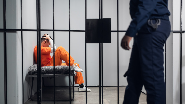 Photo of a prison cell and prison guard