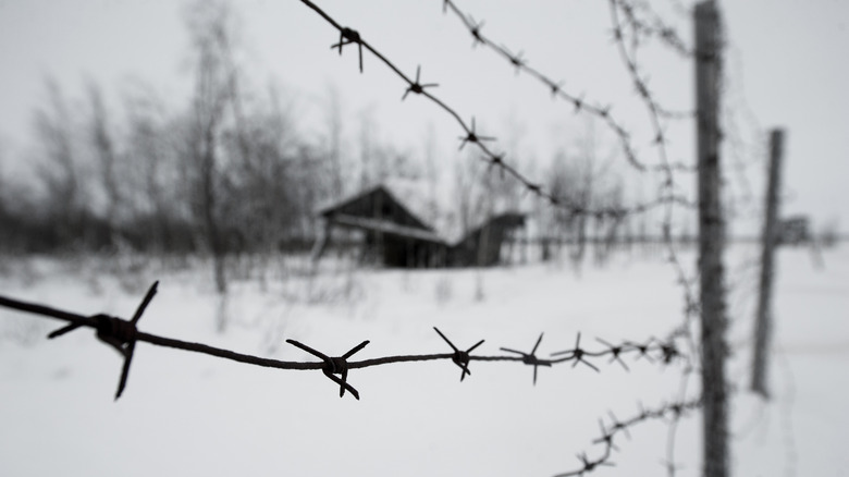 Gulag site surrounded by barbed wire