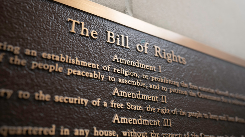 Bill of Rights Amendments 1-3