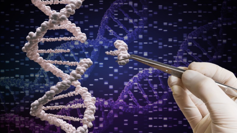 dna sequencing tiny fragment