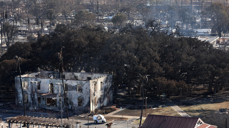 Lahaina wildfire damage