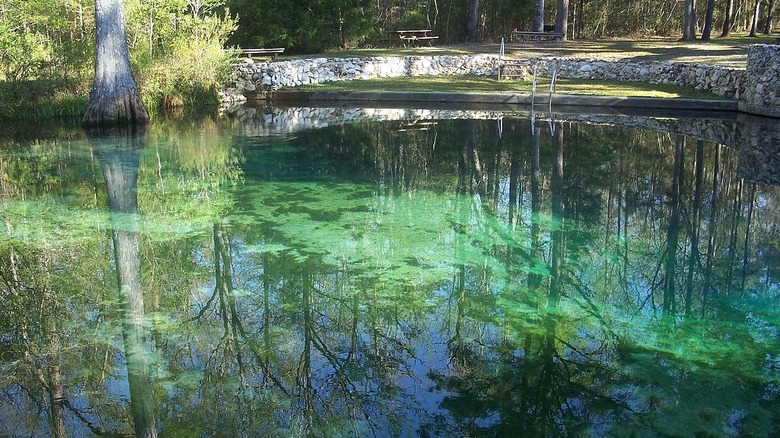 Ponce de León Springs, Florida