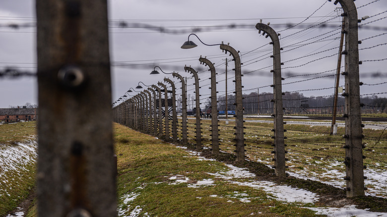 fences of auschwitz in the winter