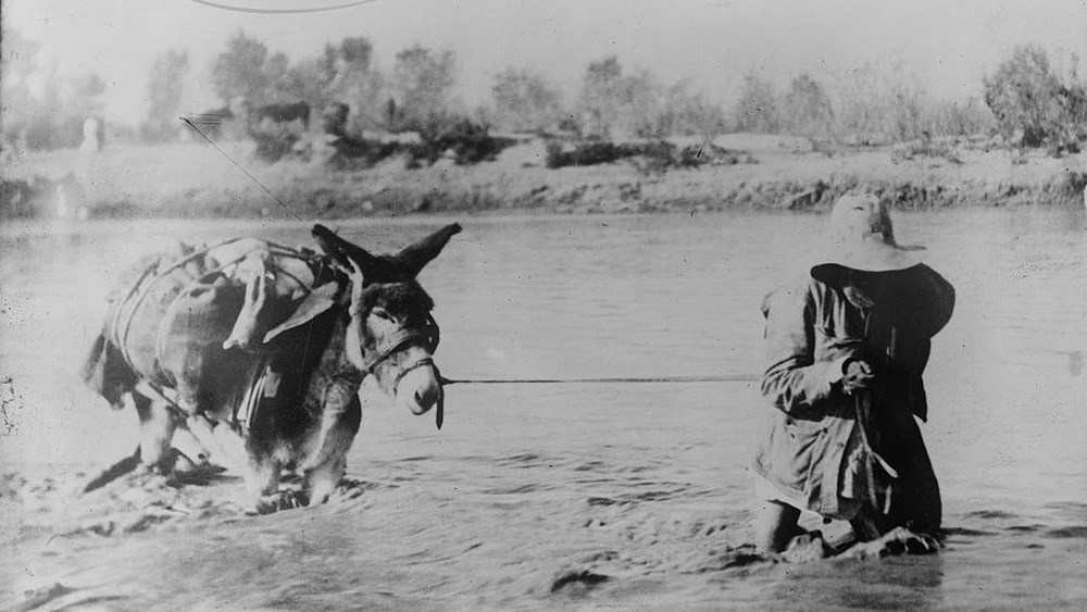 Mexican person crossing to U.S. at Ojinaga between 1910 and 1915