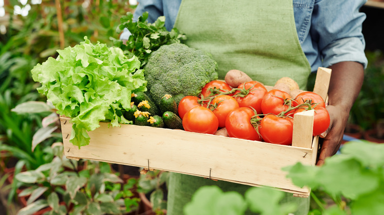 box vegetables