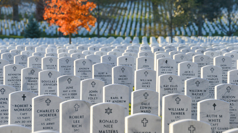 Arlington National Cemetary