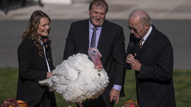 Joe Biden pardons a turkey