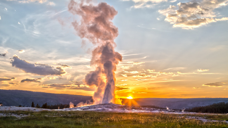 geyser eruption at yellowstone