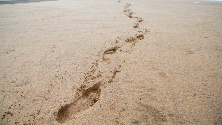 footprints in the sand