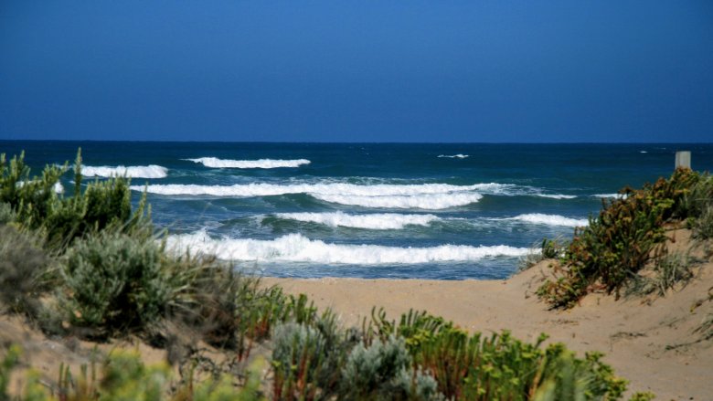 Australia beach