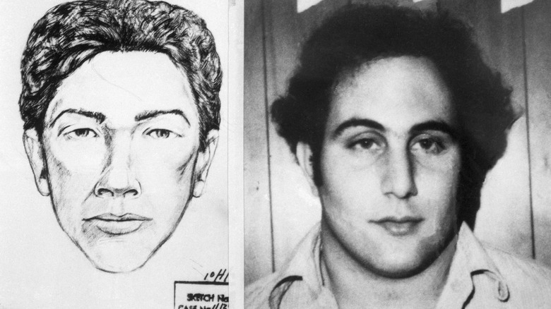 David Berkowitz and a police sketch