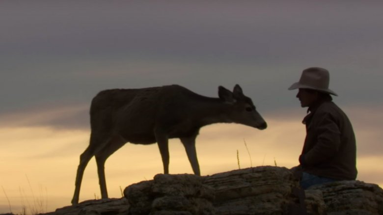 joe hutto deer