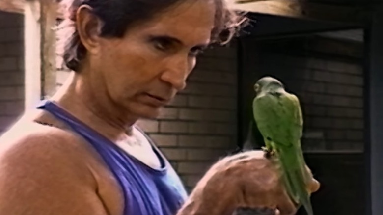 Jamie Gomez scrutinizing parakeet