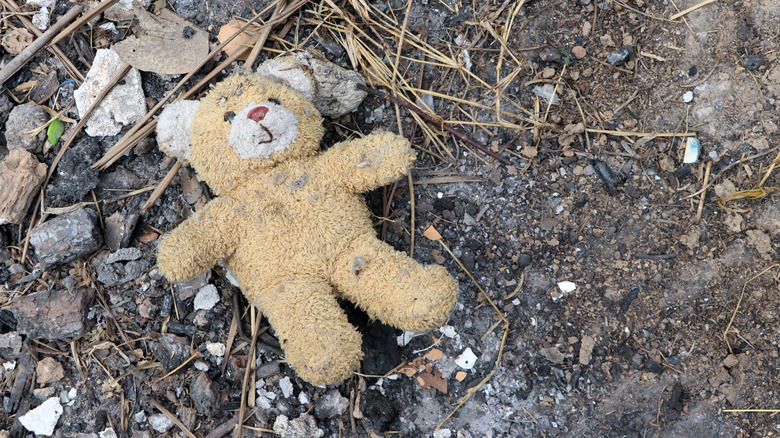 Abandoned teddy bear