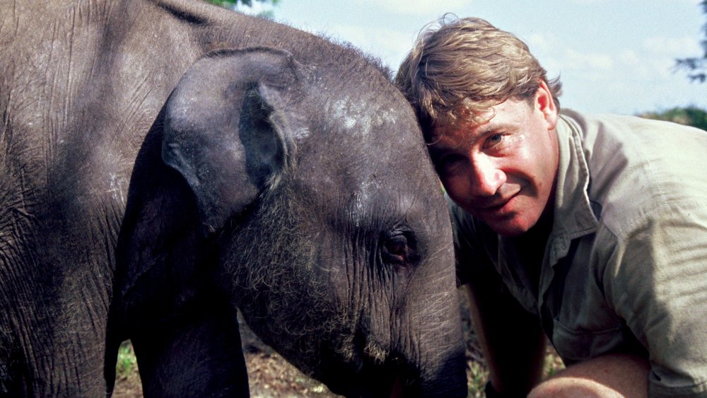 Steve Irwin