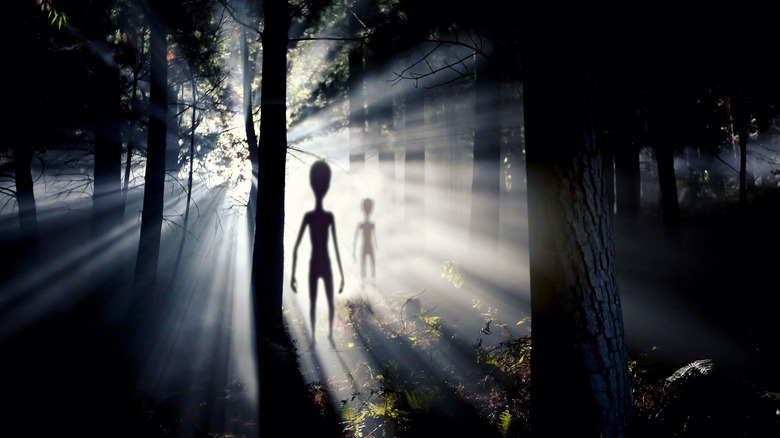 Silhouetted aliens in forest