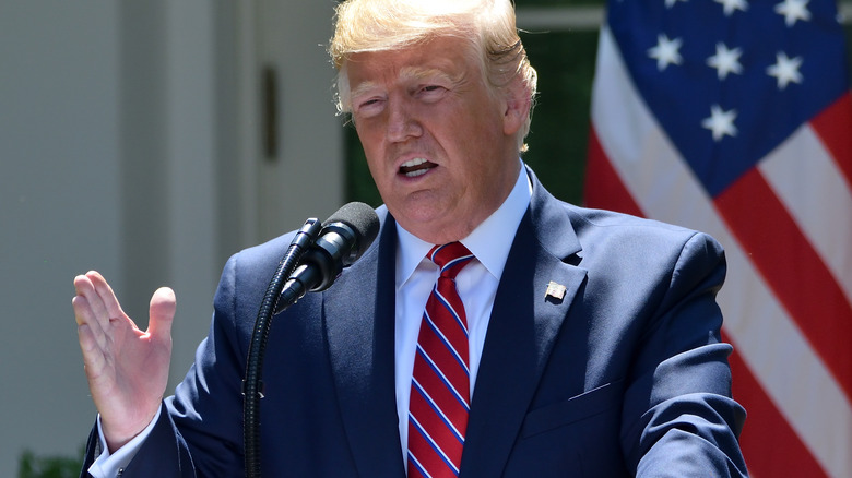 Trump speaking raising hand